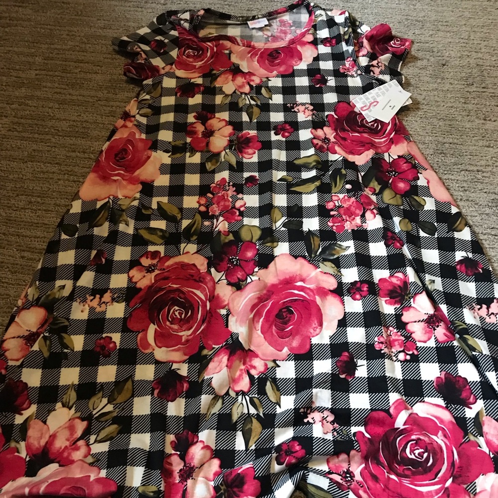 Lularoe Jessie dress plaid floral size Small